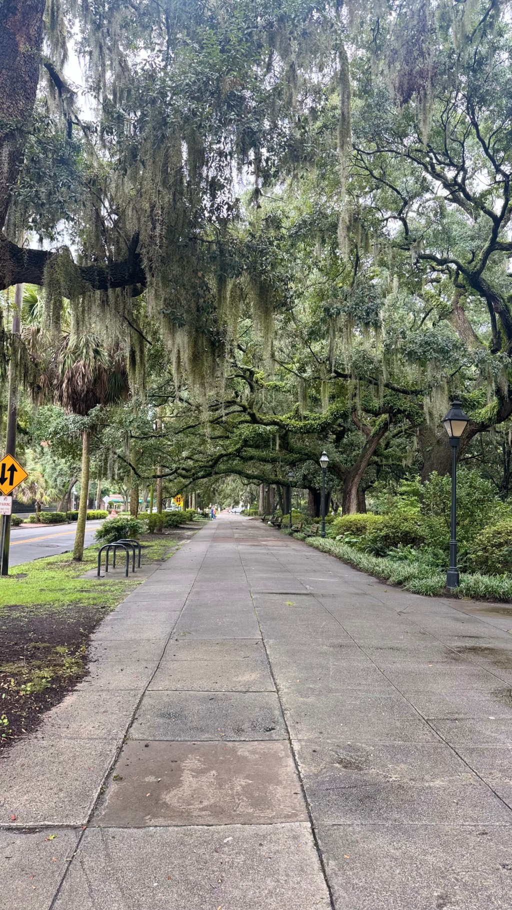 Savannah & Tybee Island: History, Dolphins, Beach Days & One Very Tall Lighthouse